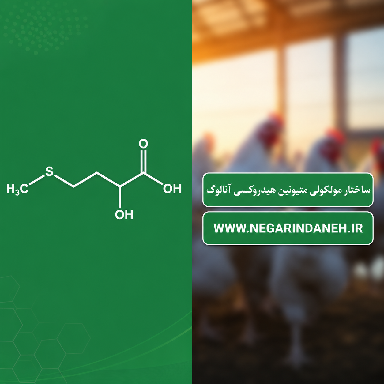 متیونین